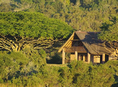 Hotel Kragga Kamma Game Park Puerto Elizabeth Exterior foto
