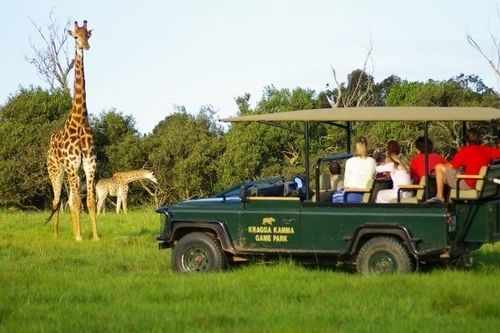 Hotel Kragga Kamma Game Park Puerto Elizabeth Exterior foto