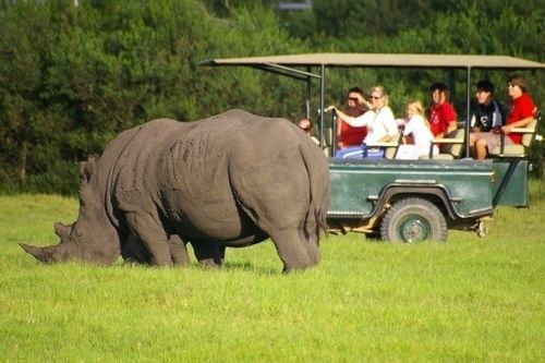 Hotel Kragga Kamma Game Park Puerto Elizabeth Exterior foto