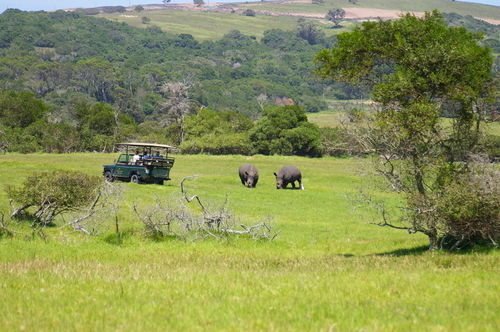 Hotel Kragga Kamma Game Park Puerto Elizabeth Exterior foto