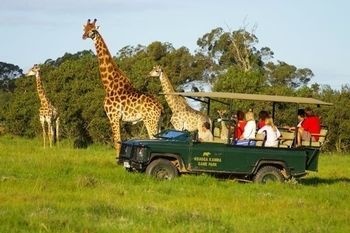 Hotel Kragga Kamma Game Park Puerto Elizabeth Exterior foto